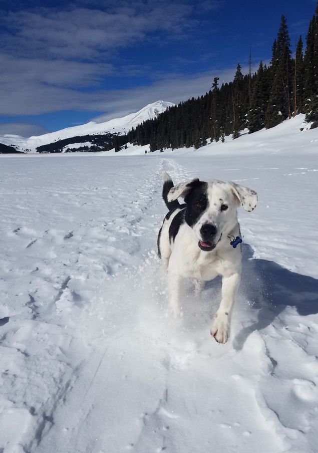 Real Estate in Silverthorne, Colorado