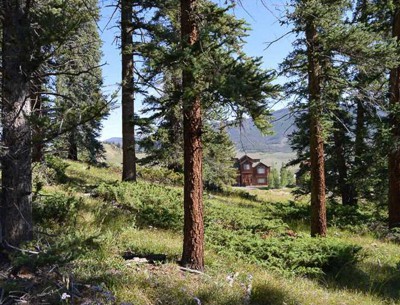 Lot for Sale