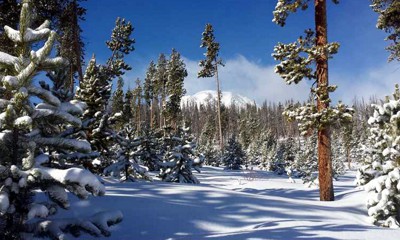 Ruby Ranch Lot