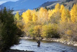 Town Of Silverthorne, Colorado