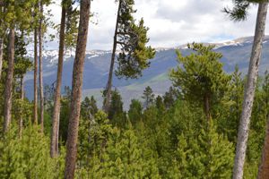 Mountain Home with Spectacular Views for Sale in Keystone, Colorado