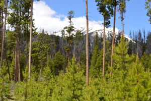 Mountain Home with Spectacular Views for Sale in Keystone, Colorado